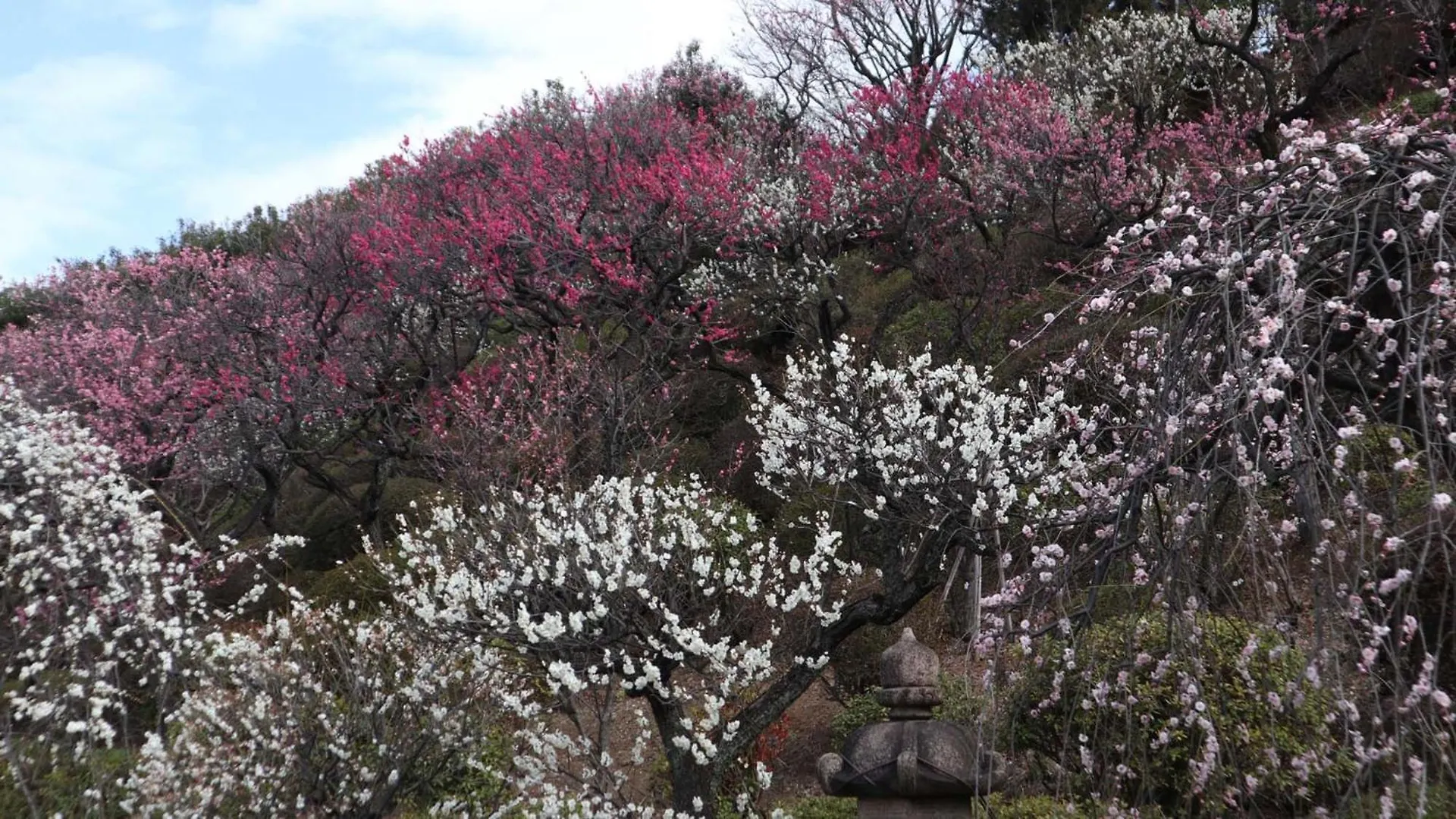 *** ホテル 東横inn蒲田東口 東京都 日本